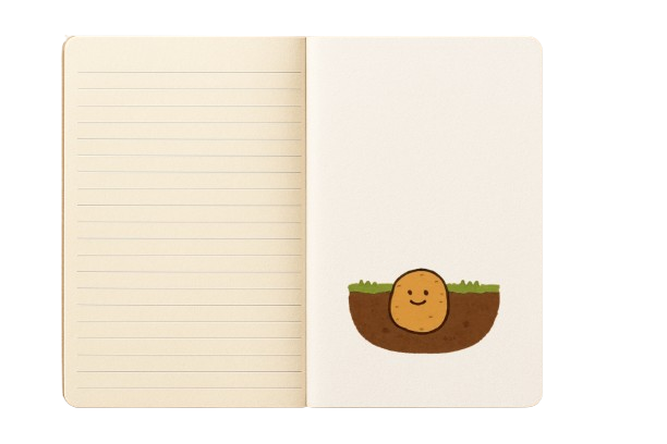 ステップ4:ノートの裏表紙に「可能性のポテト」を描こう!